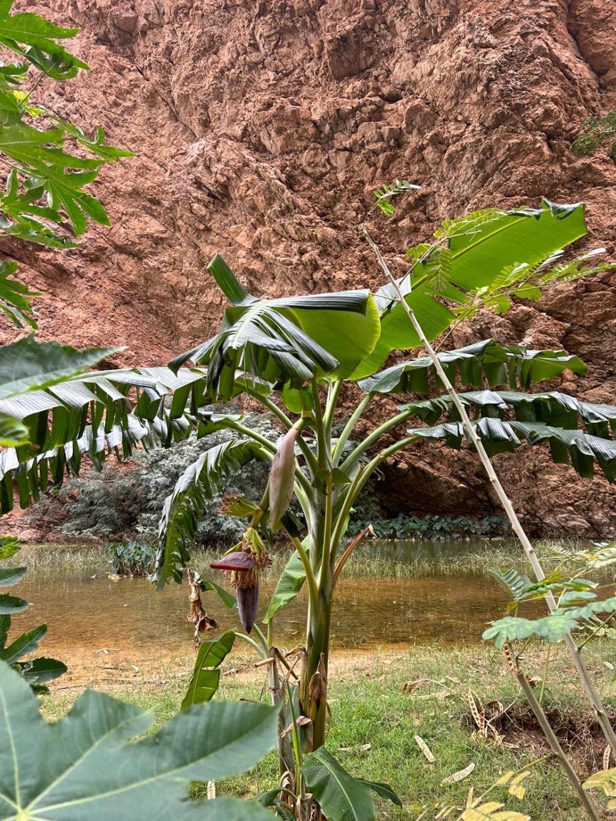 Atlas Wadi Shab Sur Exterior photo